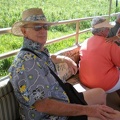 St Kitts Train Ride38